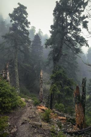 29 - gC2lish.jpg Android HD Nature Wallpapers